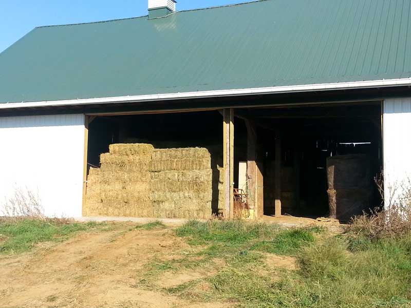6.-Bank-Barn—with-2-doors-opened,-showing-stacked-hay
