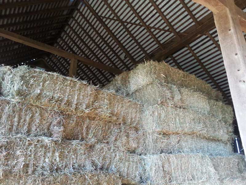 7.-Hay-stacked-in-bank-barn