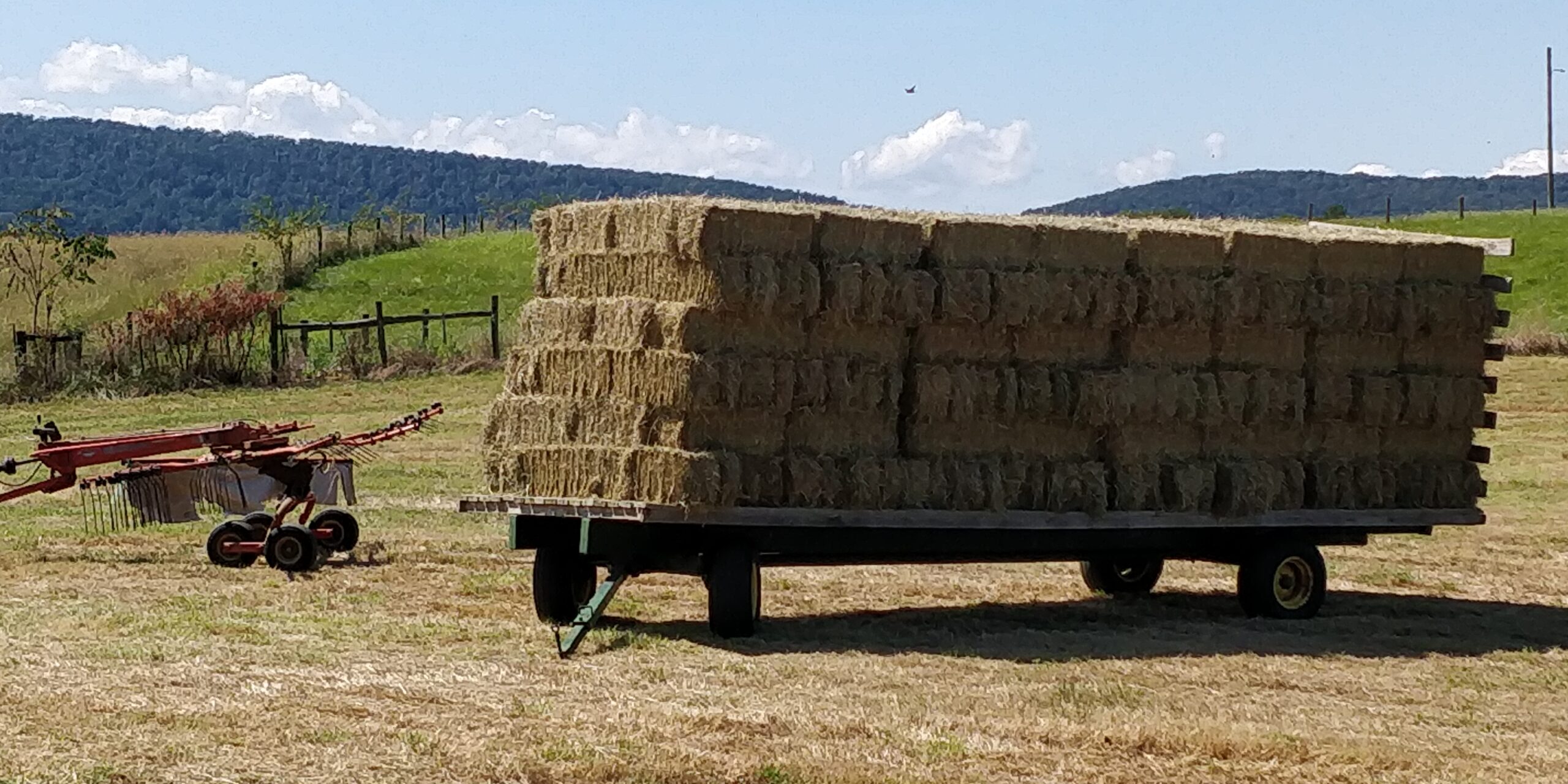 2nd cutting grass hay – 240 bales per wagon
